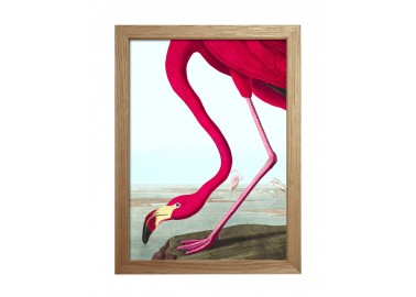 Affiche Flamand rose avec cadre 15x21 - The Dybdahl Co.