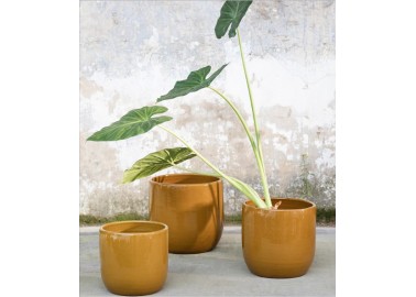 Pot en céramique honey - Plantes - Serax