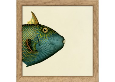 Affiche Demi-poisson vert émeraude (tête) avec cadre 15x15 - The Dybdahl Co