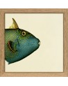 Affiche Demi-poisson vert émeraude (tête) avec cadre 15x15 - The Dybdahl Co