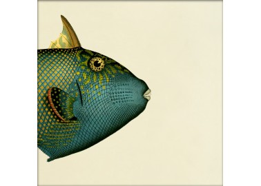 Affiche Demi-poisson vert émeraude (tête) 15x15 - The Dybdahl Co