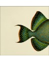 Affiche Demi-poisson vert émeraude (queue) 15x15 - The Dybdahl Co