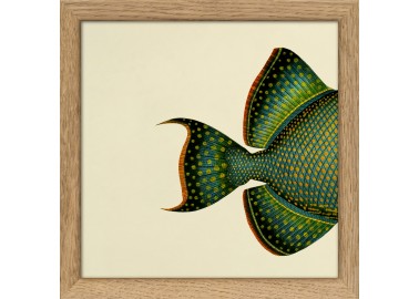 Affiche Demi-poisson vert émeraude (queue) avec cadre 15x15 - The Dybdahl Co