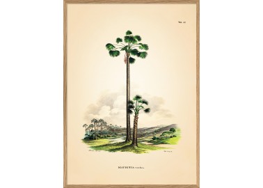 Affiche Mauritia avec cadre 30x40 - The Dybdahl Co