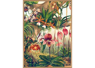 Affiche Orchidées avec cadre 30x40 - The Dybdahl Co
