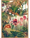 Affiche Orchidées avec cadre 30x40 - The Dybdahl Co