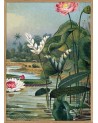 Affiche Plantes aquatiques avec cadre 30x40 - The Dybdahl Co