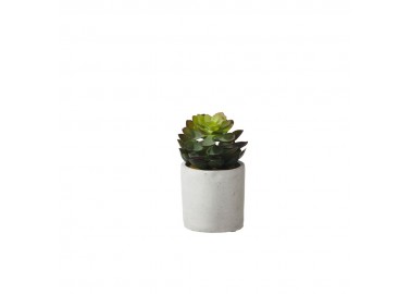 Succulente – Plante artificielle dans un pot en béton - Pomax