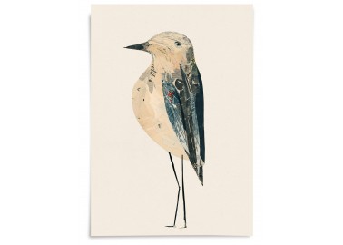 Affiche Oiseau n°8 - Valentine Hébert