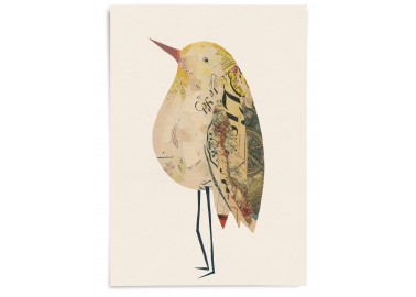 Affiche Oiseau n°11 - Valentine Hébert