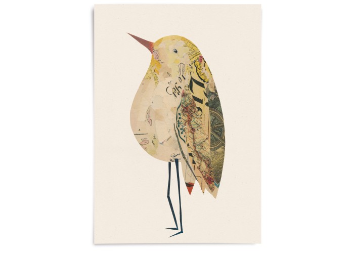 Affiche Oiseau n°11 - Valentine Hébert