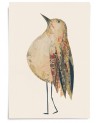 Affiche Oiseau n°16 - Valentine Hébert