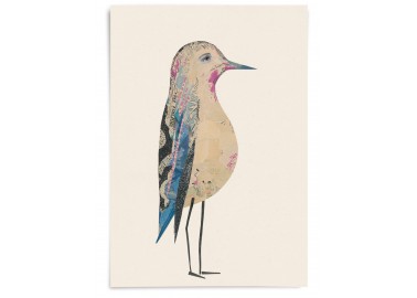 Affiche Oiseau n°28 - Valentine Hébert
