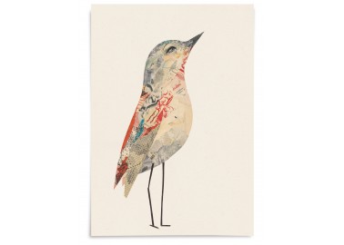 Affiche Oiseau n°36 - Valentine Hébert