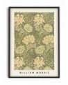 Affiche William Morris - Flowers and Plants - Pstr Studio
