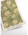 Affiche William Morris - Flowers and Plants - Pstr Studio