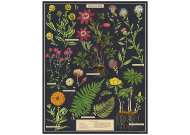 Puzzle 1000 pièces - Herbarium - Affiche - Cavallini