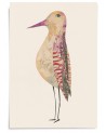 Affiche Oiseau n°27 - Valentine Hébert