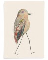 Affiche Oiseau n°52 - Valentine Hébert