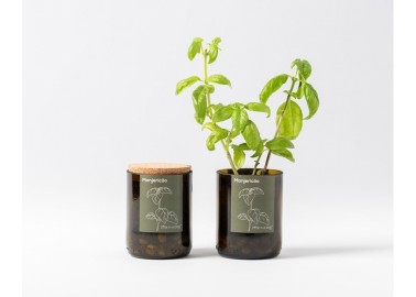 Plante à faire pousser - Basilic - Feuilles - Life in a bag