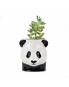Pot à crayon Panda - Plante - Quail