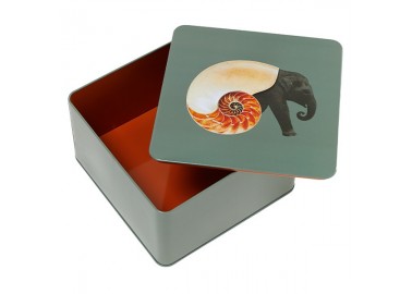 Boîte carrée Shellephant - Intérieur - Gangzaï