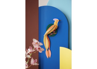 Décoration murale - Oiseau de paradis Olango - Mur bleu - Studioroof