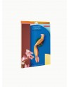 Décoration murale - Oiseau de paradis Olango - Packaging - Studioroof