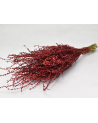 Botte de Lepidium séché rouge 70cm - Decofleur