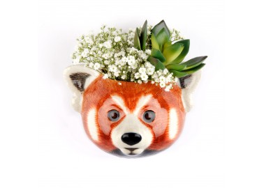 Vase mural Panda roux - Quail
