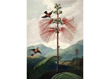 Affiche Tree of flowers 30x40 - The Dybdahl Co.