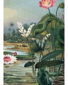 Affiche Water Plants 30x40 - The Dybdahl Co.